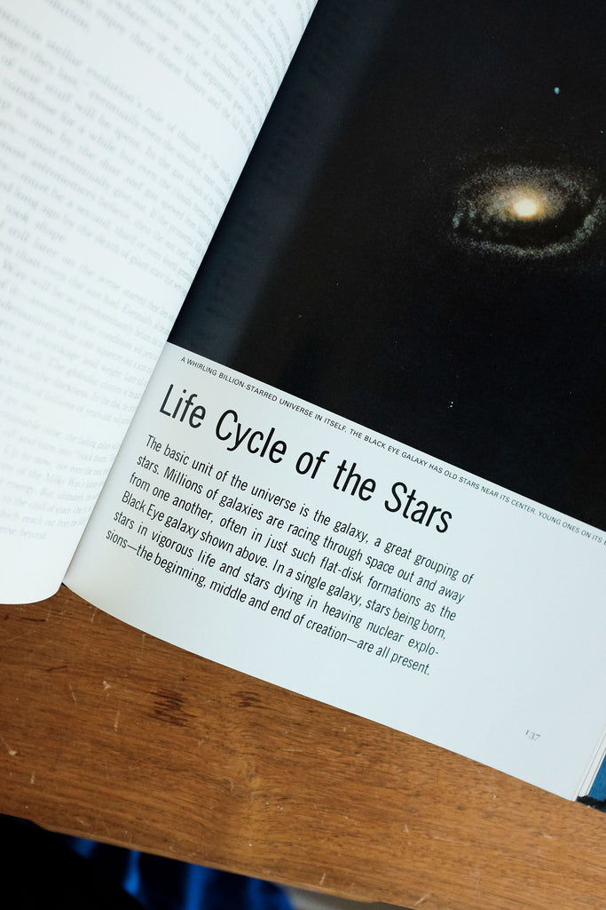 コレクション The Nature Of Inspiration (1962) BringingNatureHome_grande.png?