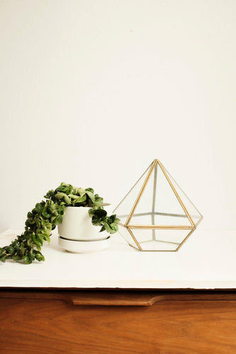 Brass & Glass Display Box - terrarium