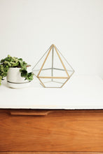 Brass & Glass Display Box - terrarium