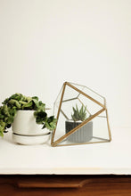 Brass & Glass Display Box - terrarium