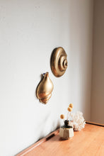 Brass Shell Wall Hanging Pair