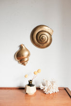 Brass Shell Wall Hanging Pair