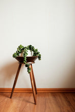 Mid-Century Tripod Plant Stand / Side Table by Vermillion / Solid Walnut / Tripod Legs / Walnut Bowl Vintage Planter