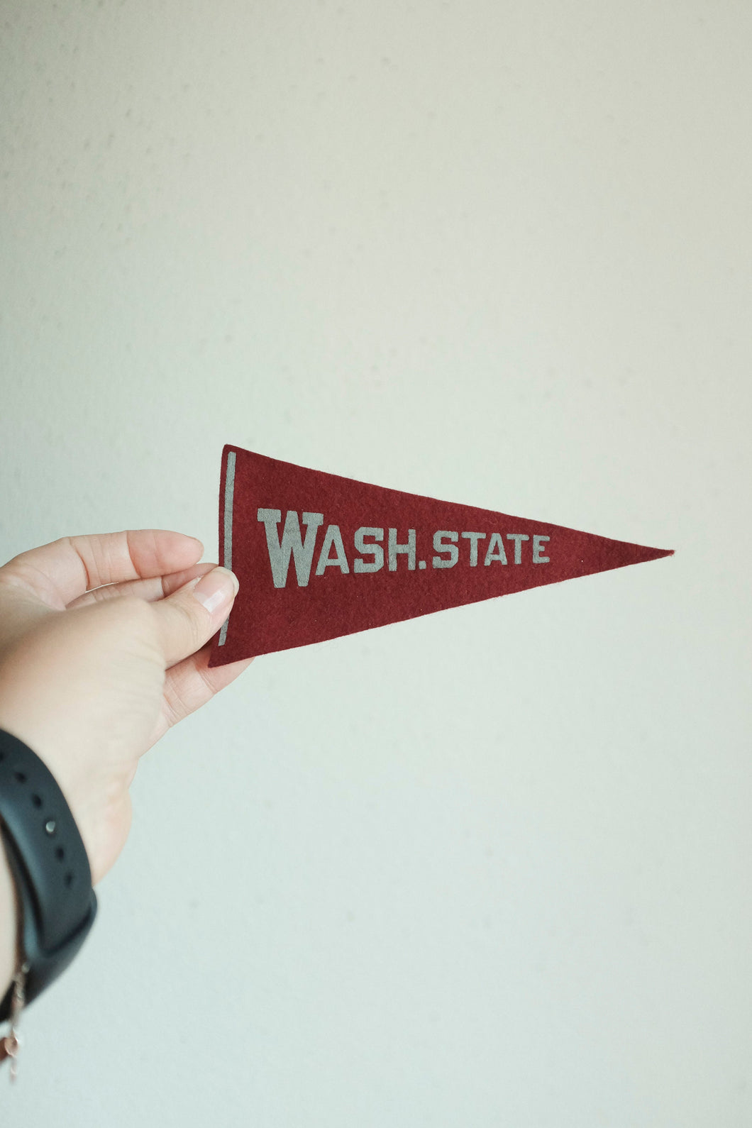 Mini Vintage Pennant Washington State Red and Grey