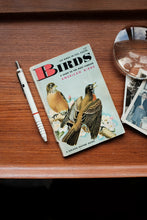 1956 Birds A guide to the Most familiar American Birds