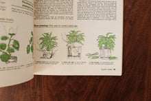 How to Grow Houseplants A sunset book 1982