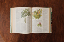 Success with House plants Reader's digest 1979