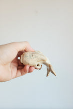 Ceramic Fish Figurine