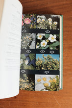 Vintage Book Field guide to Rocky Mountain Wildflowers 1963